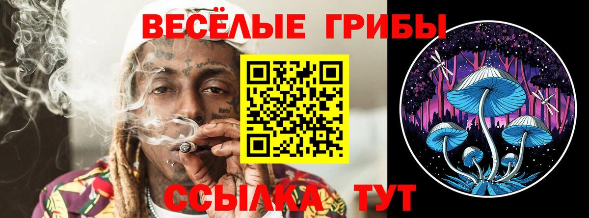 Alpha PVP Богородск