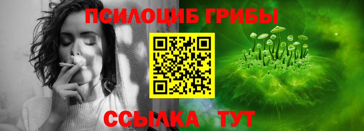 Галлюциногенные грибы ЛСД Богородск